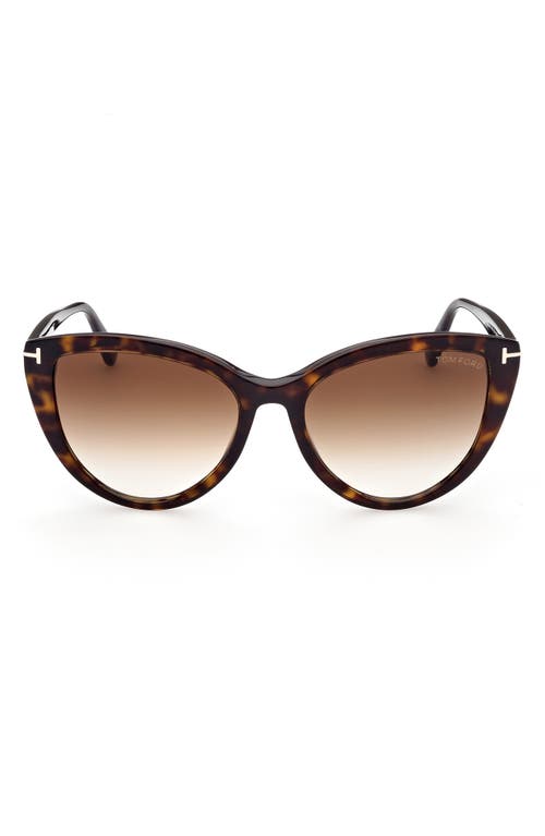 TOM FORD 56mm Gradient Cat Eye Sunglasses in Dhav/Brng | Smart Closet