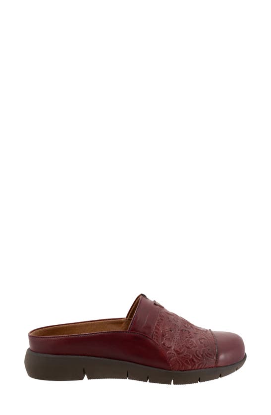 Softwalk San Marcos Tooling Mule In Dark Red