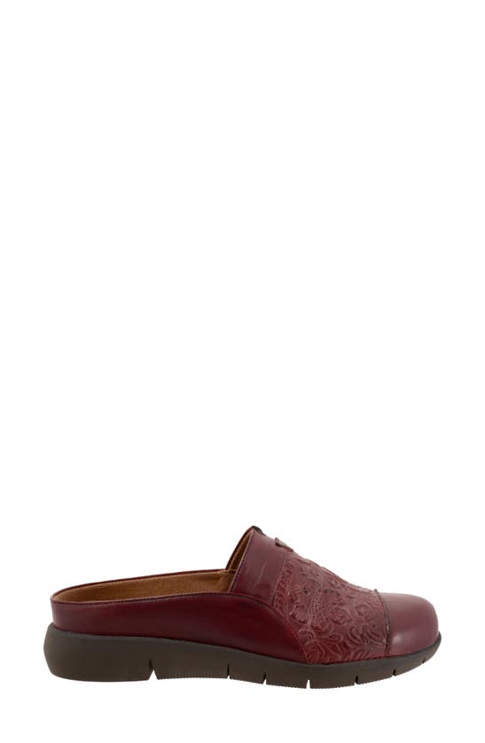 Shop Softwalk San Marcos Tooling Mule In Dark Red