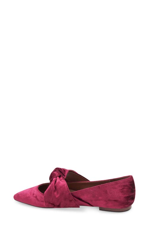 Bcbg Prely Mary Jane Pointed Toe Flat In Bordeaux