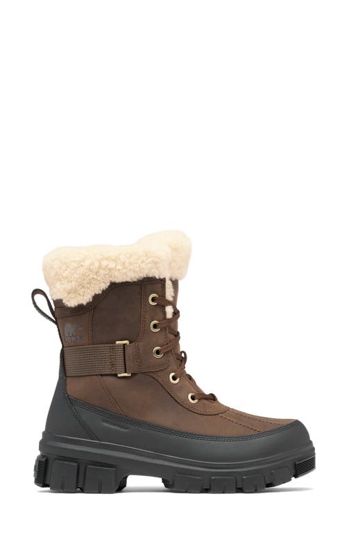 Shop Sorel Tivoli V Parc Genuine Shearling Waterproof Boot In Tobacco/black