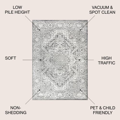 Jonathan Y Modern Persian Vintage Medallion Area Rug In Light Gray