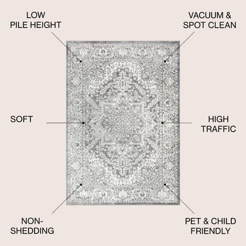 JONATHAN Y JONATHAN Y MODERN PERSIAN VINTAGE MEDALLION AREA RUG 