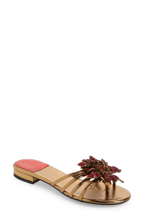 Shop Jeffrey Campbell Enchanted Slide Sandal In Dark Gold Red