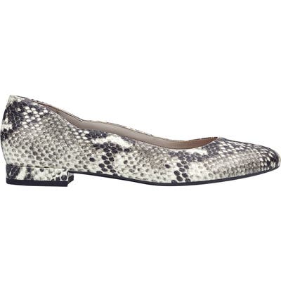 Evolve Kutipie Flat- Black