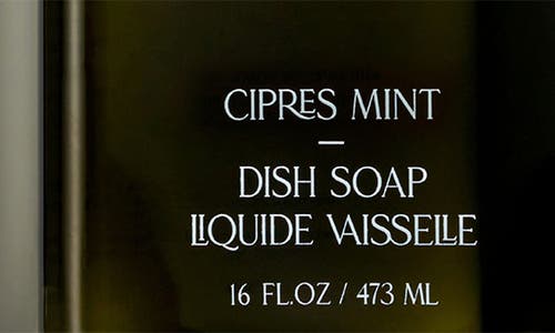 Shop Homecourt Dish Soap In Cipres Mint