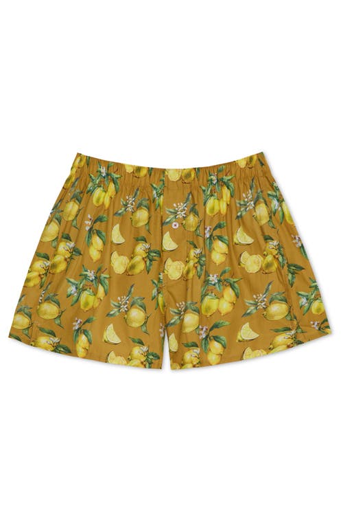 Druthers Nyc Organic Cotton Watercolor Lemons Boxer Short In Mustard