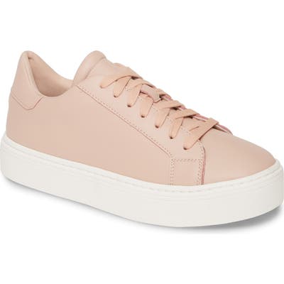 Steven By Steve Madden Bass Platform Sneaker, Pink