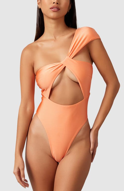 Shop Mbm Swim Aurora One-piece Swimsuit In Coral