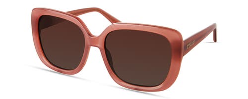 Shop Derek Lam 10 Crosby River Sunglasses In Blush