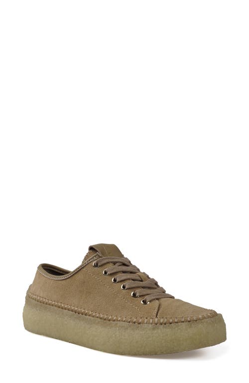 Shop Artisan Crafted By Zigi Clover Low Top Sneaker In Natural Suede