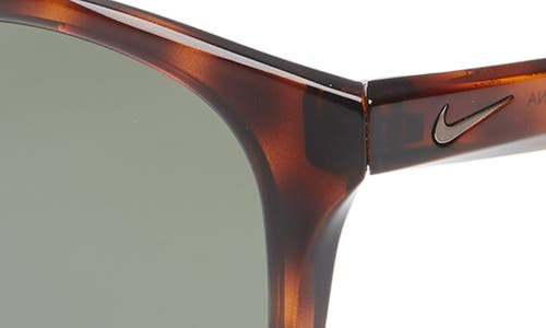 Shop Nike Revere 51mm Round Sunglasses In Tortoise/green