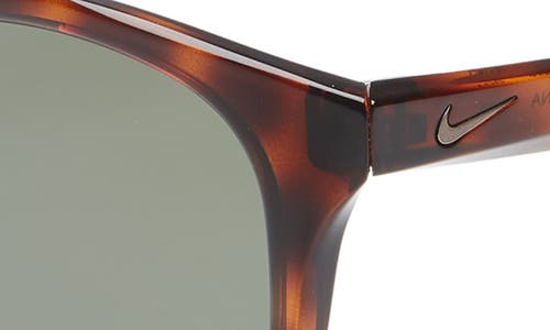 Nike Revere 51mm Round Sunglasses In Tortoise/green