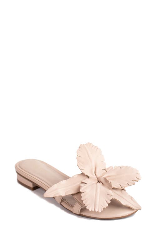 Lila Slide Sandal in Nude Leather