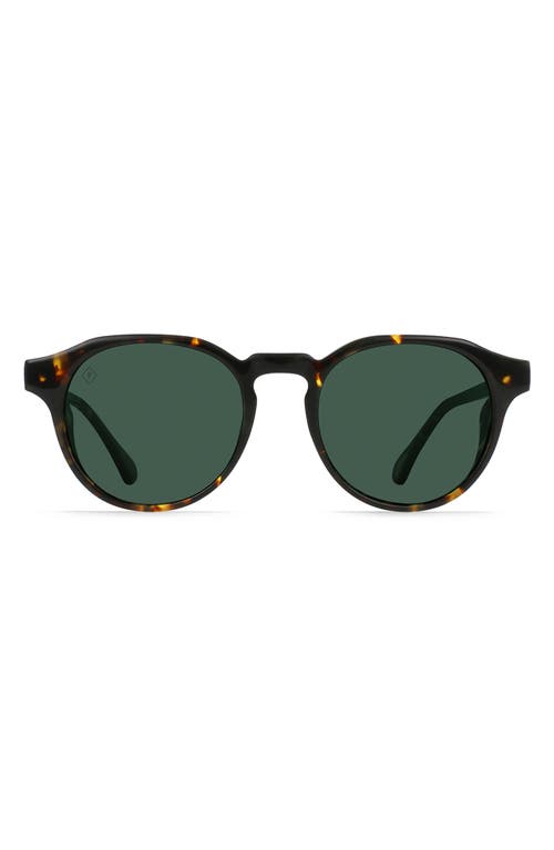 Expedition Remmy 50mm Round Sunglasses in Shasta Tortoise/Exp Green