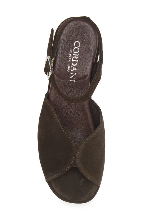 Cordani Jenna Platform Wedge Sandal In Camoscio Cacao