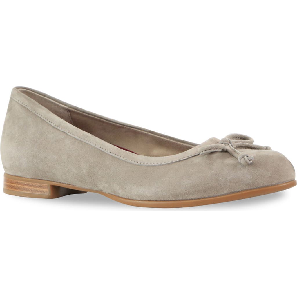 Munro Joslynn Ballet Flat in Deep Taupe Suede