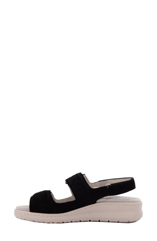 Shop David Tate Key Comfort Slingback Sandal In Black