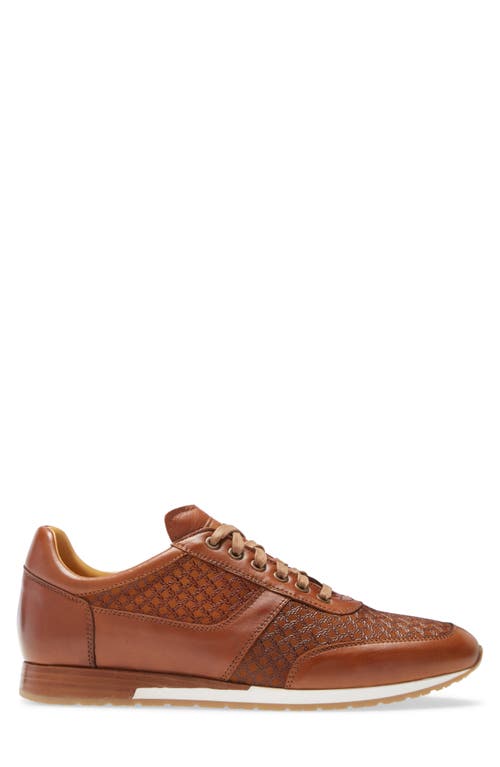 Mezlan Maxim Sneaker In Tan Leather/suede