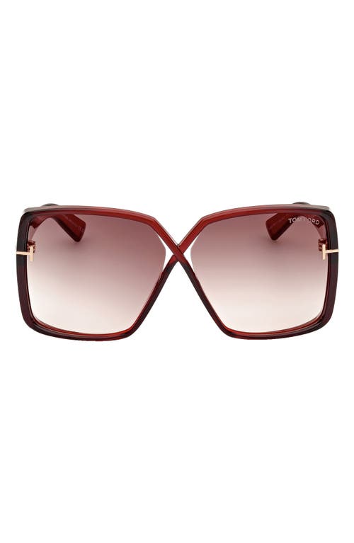 Yvonne 63mm Oversize Gradient Butterfly Sunglasses in Shiny Transparent Red /Brown