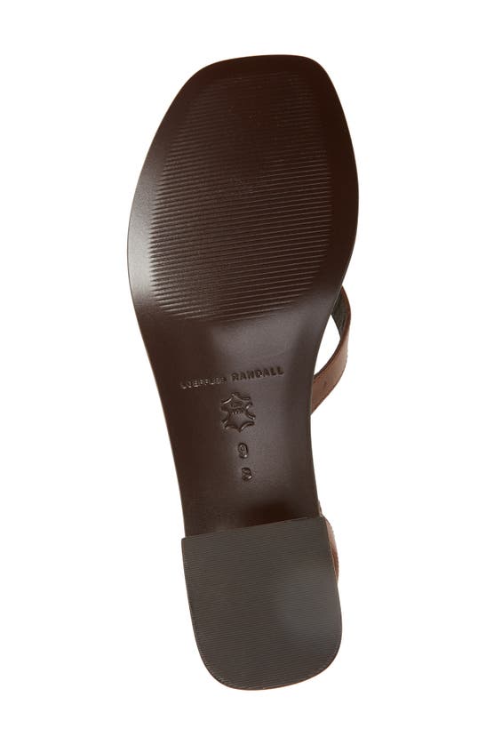 Shop Loeffler Randall Eloise Ankle Strap Sandal In Espresso