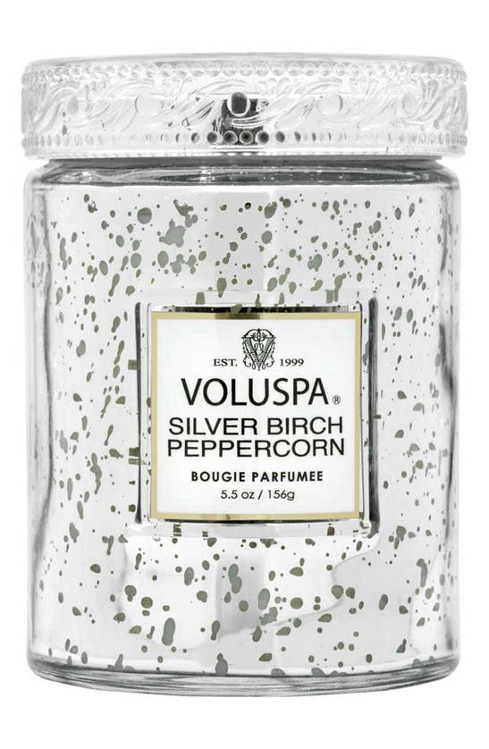 Voluspa Silver Birch & Peppercorn Small Jar Candle In Silver Birch