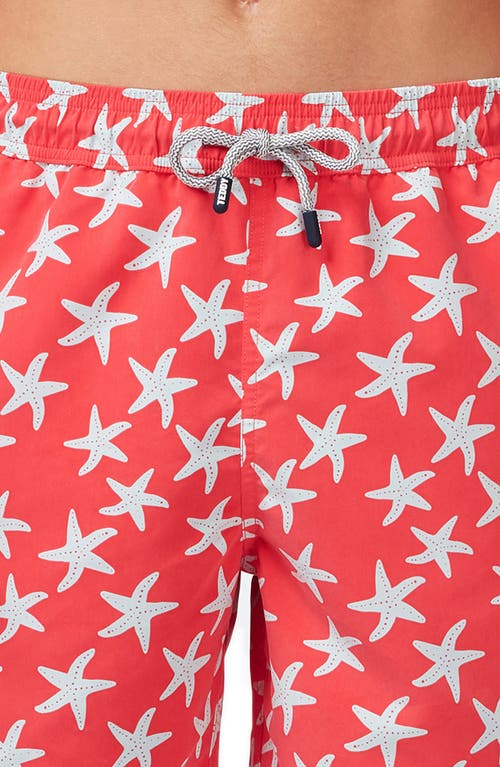 Shop Tom & Teddy Starfish Print Swim Trunks In Rose/blue