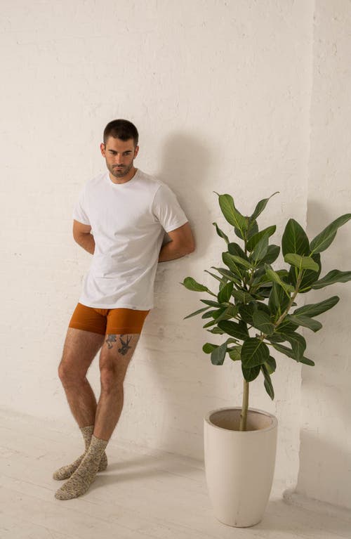 Shop Druthers Nyc Organic Cotton Boxer Briefs In Terra Cotta