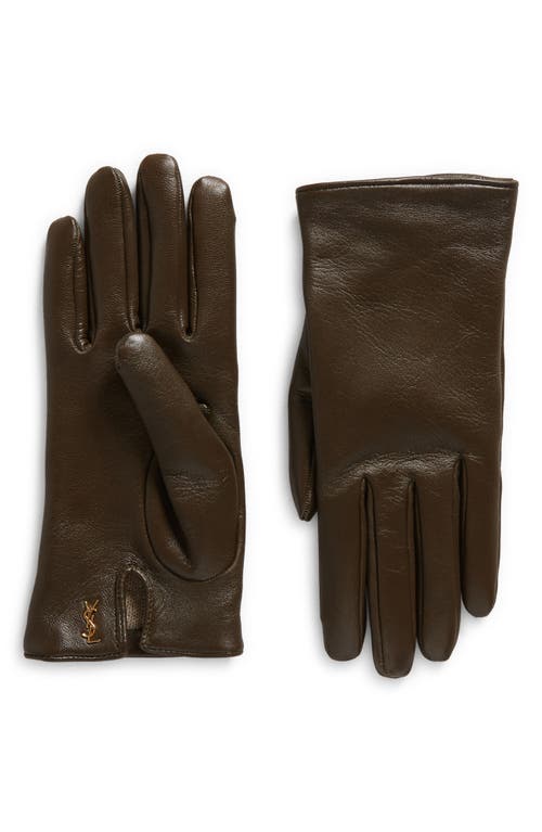 Saint Laurent Cassandre Logo Cashmere Lined Leather Gloves In Brown