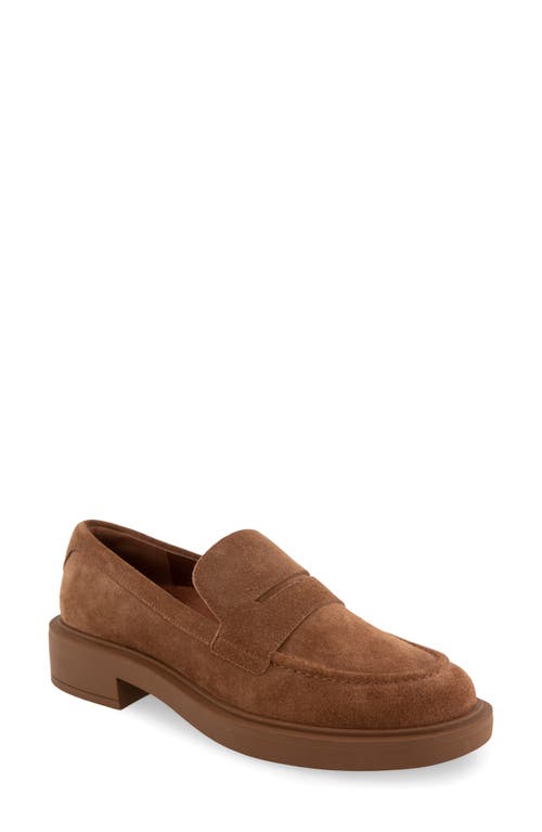 Shop Aerosoles Gelso Loafer In Tobacco Suede