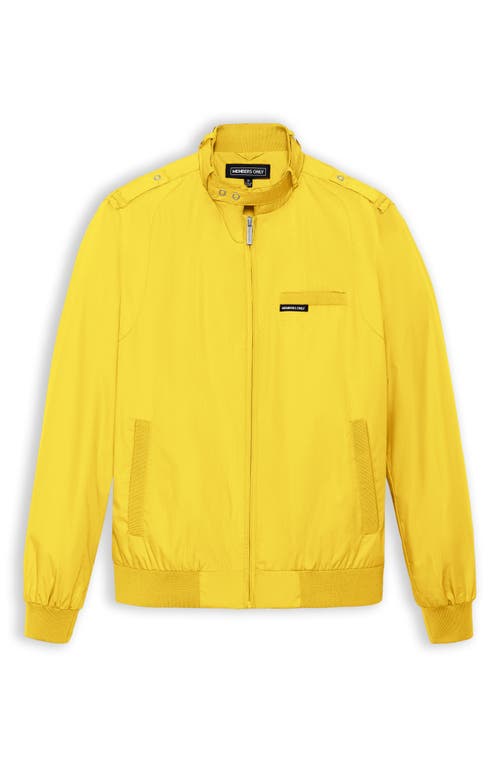 Shop Members Only Classic Iconic Racer Jacket In Yellow