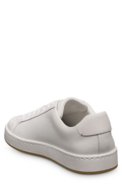 Allen Edmonds Barnes Low Top Sneaker In White