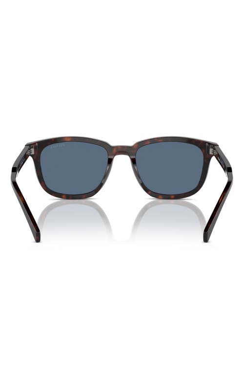 Shop Prada 55mm Pillow Sunglasses In Brown/dark Blue