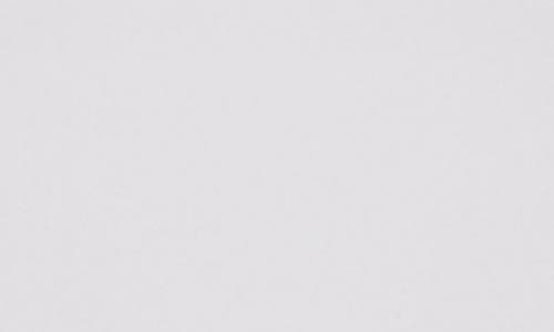 Skarlett Blue 2-pack Minx Thongs In White/nyln