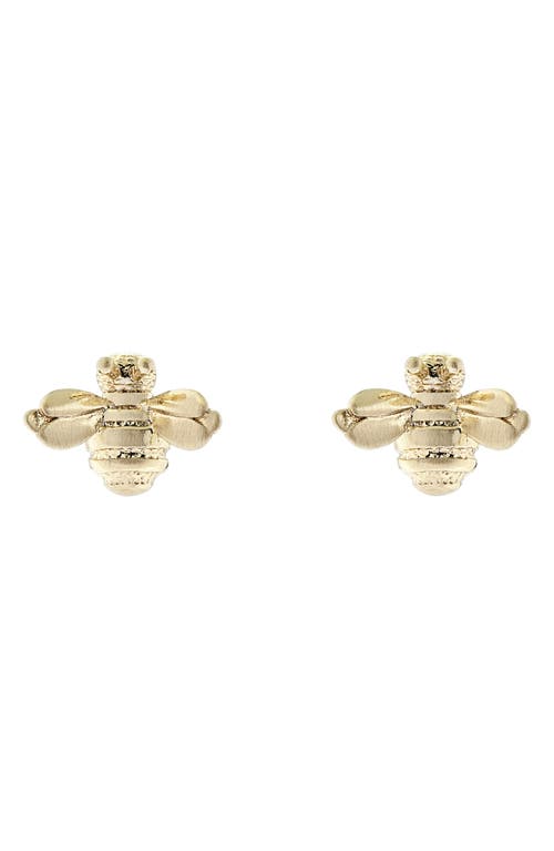 Ted Baker London Beelii Bee Stud Earrings in Brushed Gold Tone at Nordstrom