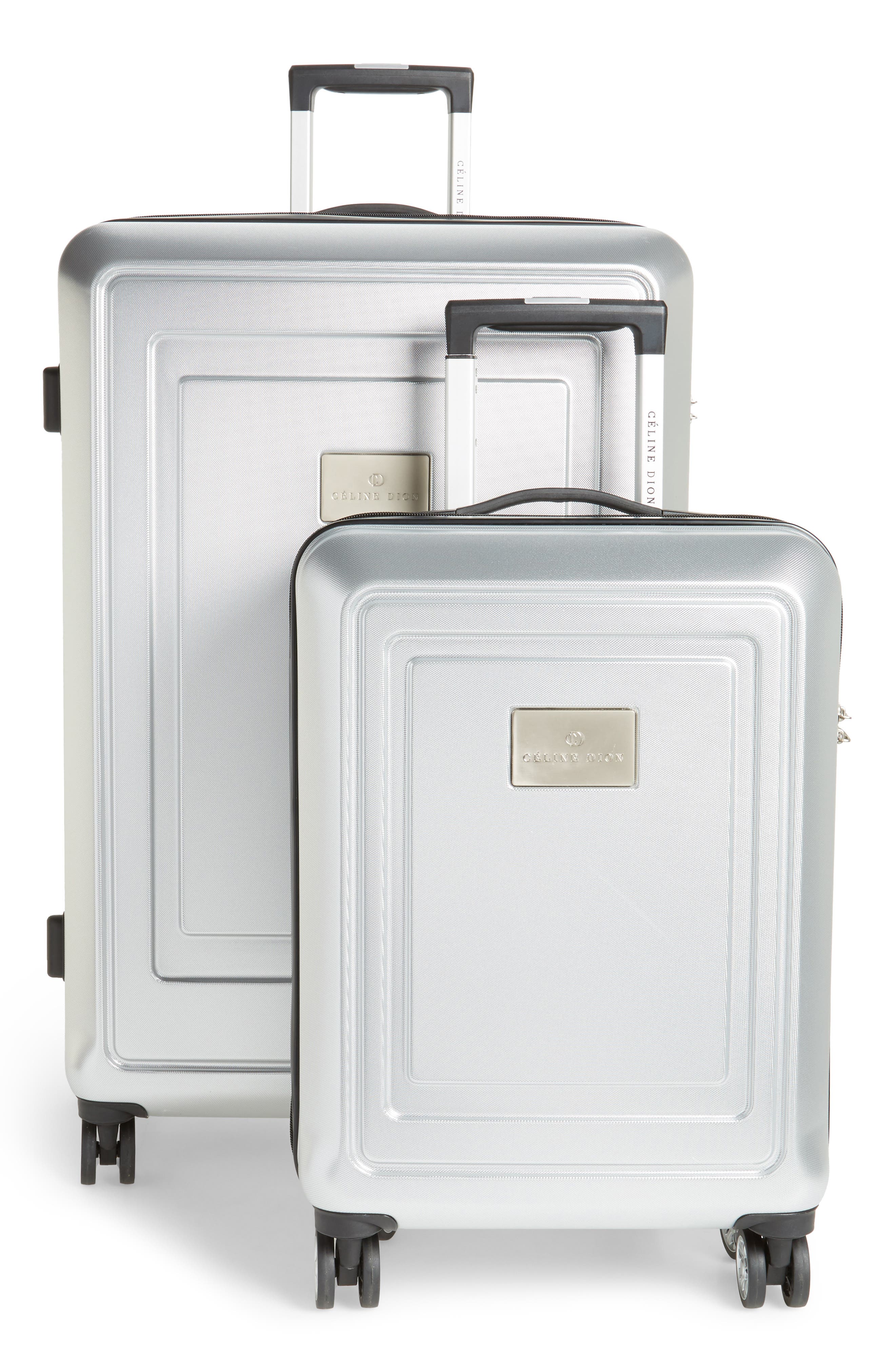 celine dion suitcase