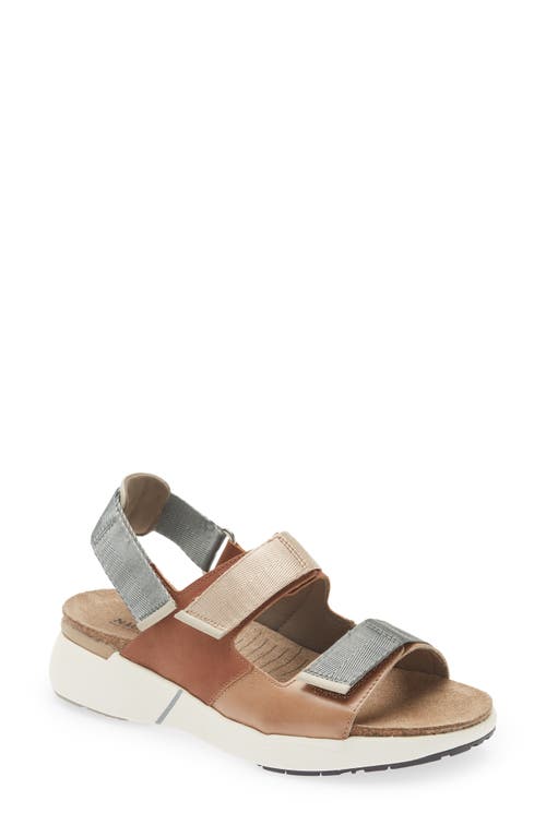 Shop Naot Odyssey Slingback Sandal In Tan/latte/ivory