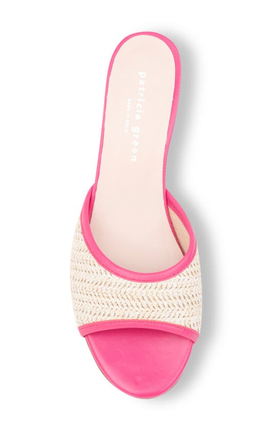 Shop Patricia Green Sienna Raffia Slide Sandal In Hot Pink