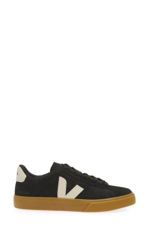 Shop Veja Campo Sneaker In Black Pierre