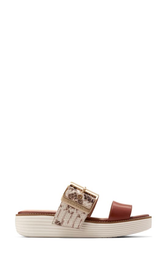 Shop Cole Haan Original Grand Platform Sandal In Sandollar Snake Print