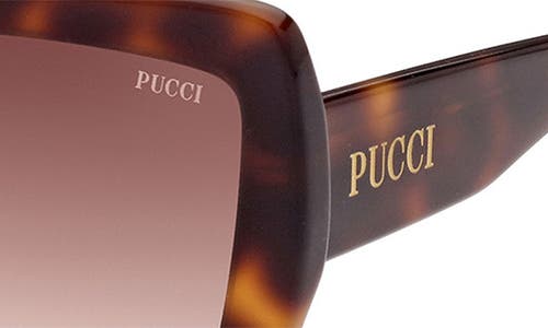 Pucci Emilio 58mm Butterfly Sunglasses In Dark Havana/gradient Brown