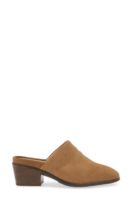 Shop Naot Dedicate Mule In Acorn Suede