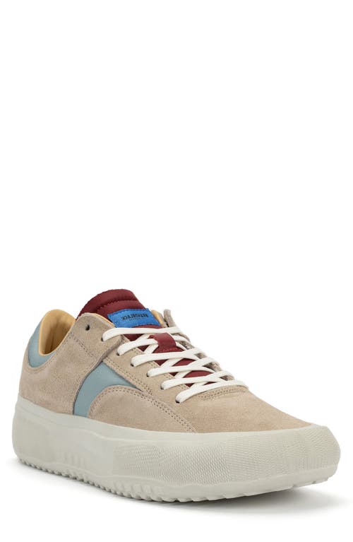 BRANDBLACK Porto Low Top Sneaker in Grey Burgundy
