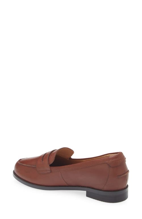 Shop Frankie4 Franklin Penny Loafer In Deep Tan