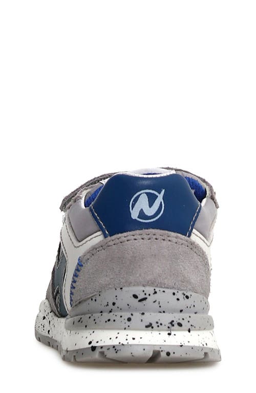 Shop Naturino Kids' Zimmy Sneaker In Anthracite