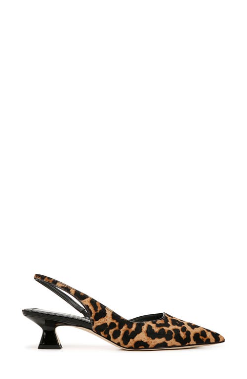 SARTO BY FRANCO SARTO SARTO BY FRANCO SARTO DEVIN SLINGBACK HALF D'ORSAY POINTED TOE KITTEN HEEL PUMP 