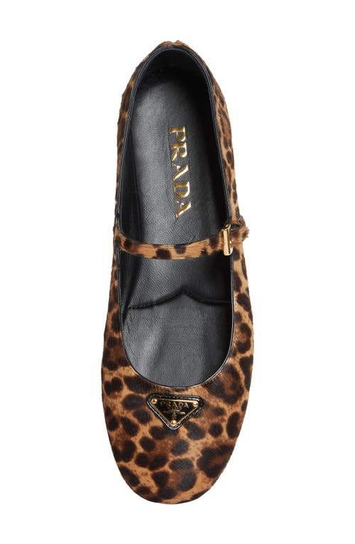 PRADA PRADA GENUINE CALF HAIR MARY JANE FLAT 