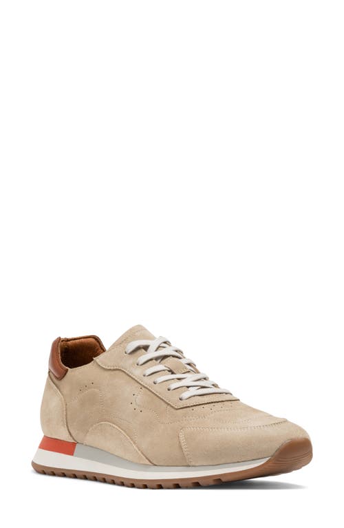 Rodd & Gunn Ponsonby Sneaker in Sand