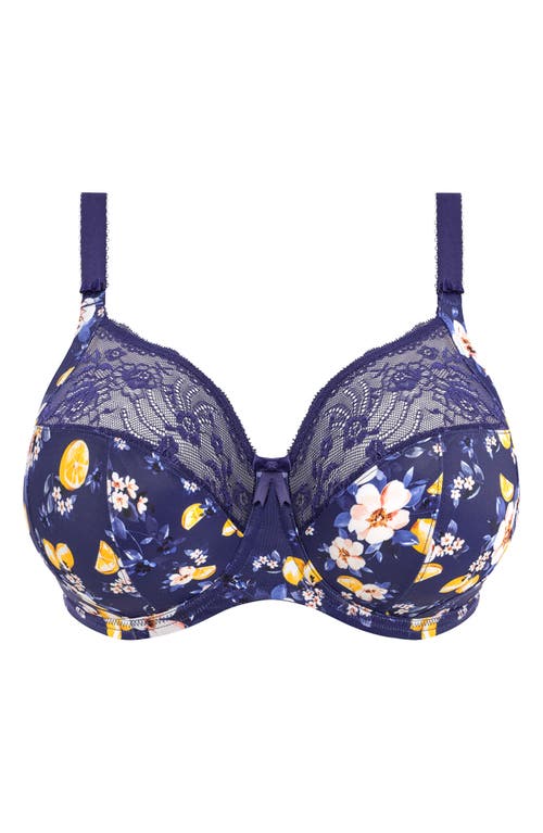 Shop Elomi Morgan Full Figure Underwire Bra In Sicilia Sia