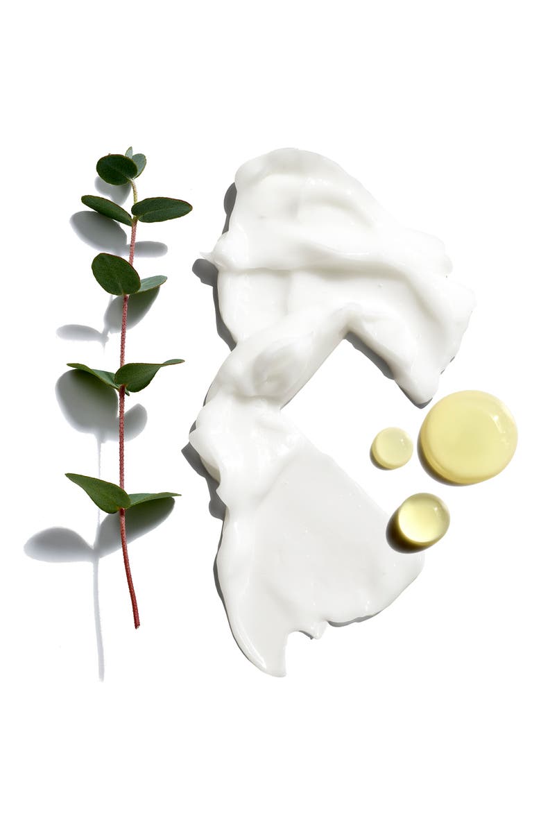 Jack Black Beard Grooming Set USD $48 Value, Alternate, color,